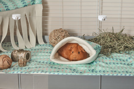 Fleece Accessories for Guinea Pigs collection