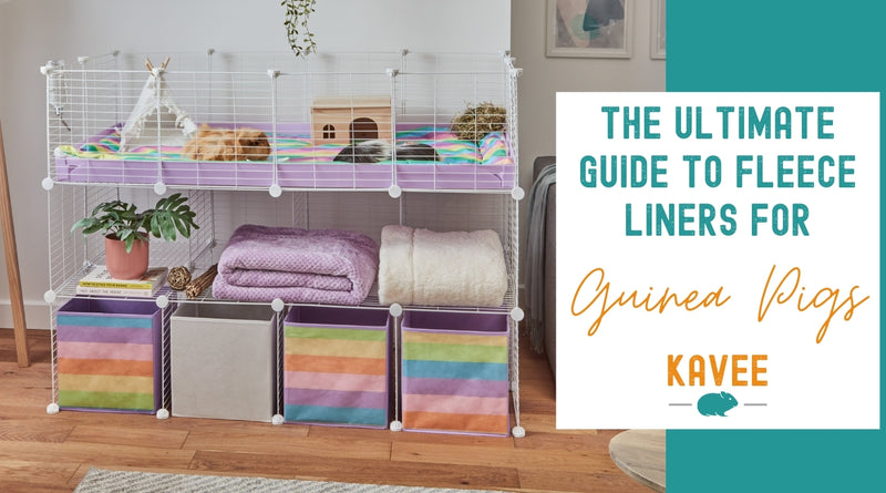 the ultimate guide to fleece liners for guinea pigs kavee uk c and c cage cc