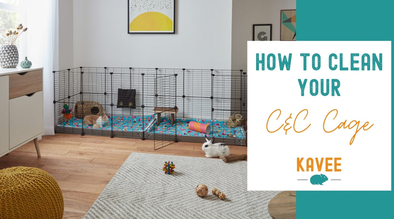 how to clean C&C cage c and c cage guinea pig uk kavee