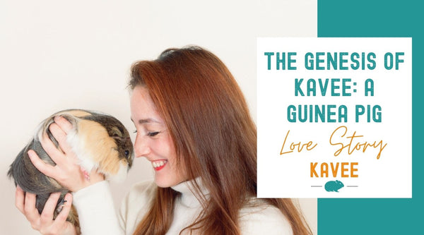 The Genesis of Kavee C&C Cage how it all started A Guinea Pig Love Story
