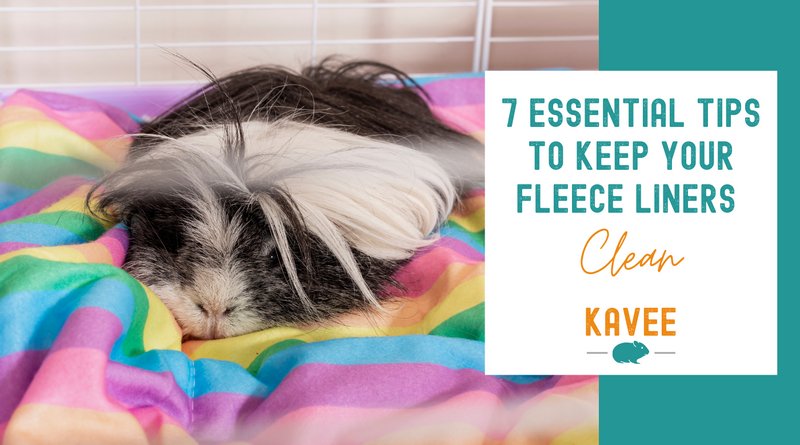 7 essential tips to keep your guinea pig fleece liners clean for longer Kavee C&C cage 