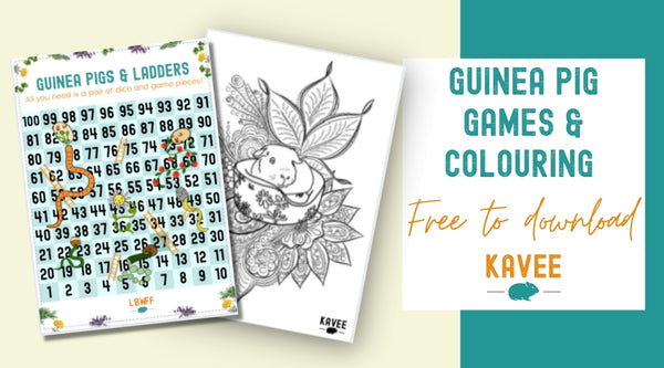 free guinea pig colouring board game download printable kavee