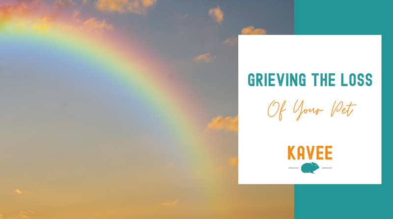 Grieving the loss of your pet