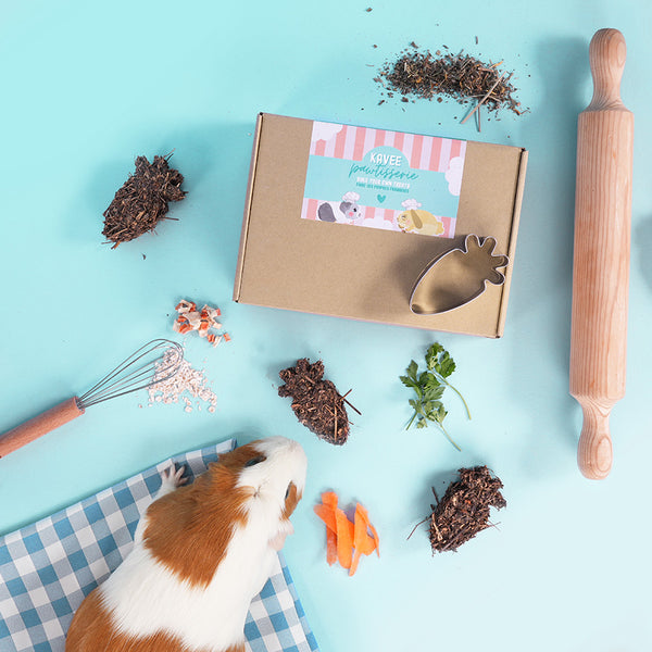 Bake your own treats by Kavee on blue background with ingredients and rolling pin scattered around brown and white guinea pig