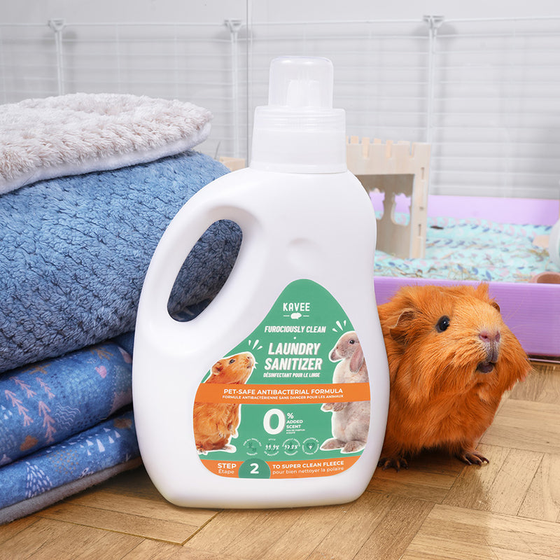 kavee laundry sanitizer bottle on wooden floor next to brown guinea pig