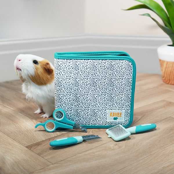 Kavee grooming kit on wooden floor with white and brown guinea pig, brush, scissors and comb out