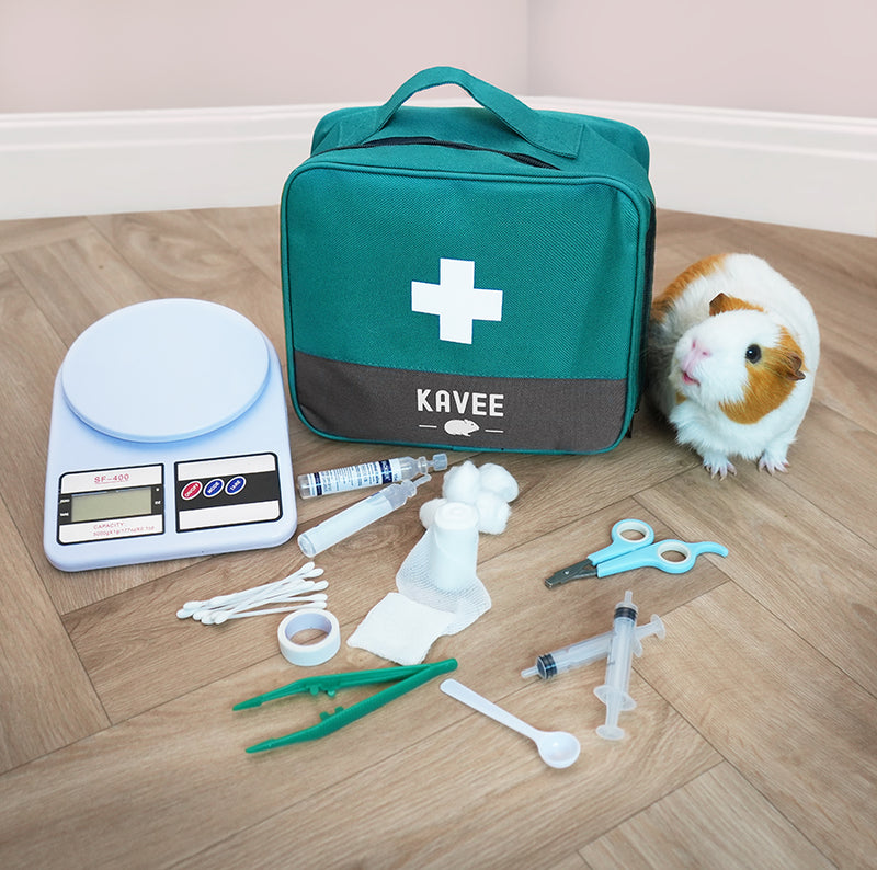Kavee Medical Care Kit bag on wooden floor showing scales, syringes, cotton budsm syringes, tweezers, saline, scissors and a white and brown guinea pig