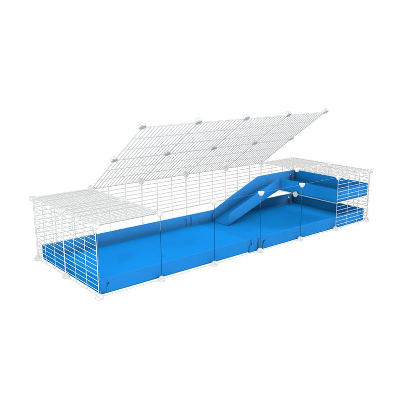 a 2x6 C and C guinea pig cage with clear transparent plexiglass acrylic panels  with loft ramp lid small hole size white CC grids blue coroplast kavee