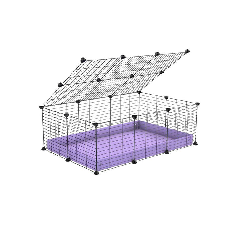 A 2x3 C and C cage for guinea pigs with purple lilac pastel coroplast a lid and small hole grids from brand kavee