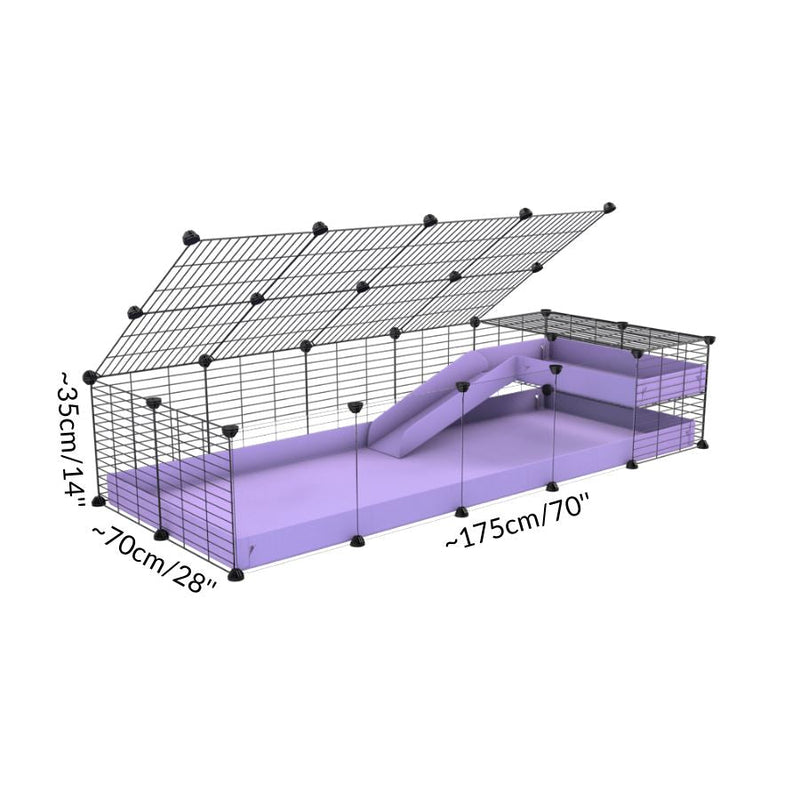 Size of a 5x2 C&C guinea pig cage with clear transparent plexiglass acrylic panels  with a loft and a ramp purple lilac pastel coroplast sheet and baby bars by kavee