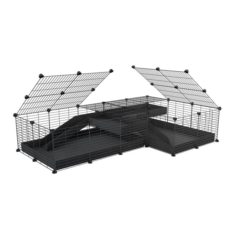 A 6x2 L-shape C&C cage with lid divider loft ramp for guinea pig fighting or quarantine with black coroplast from brand kavee