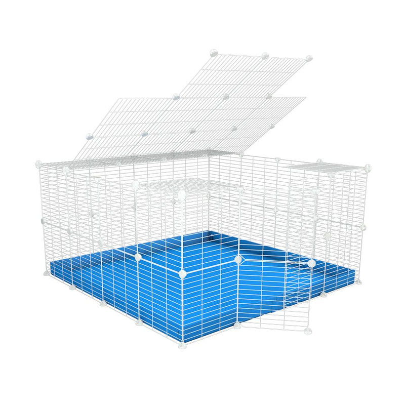 A 4x4 C&C rabbit cage with a top and safe small meshing baby bars white CC grids and blue coroplast by kavee UK