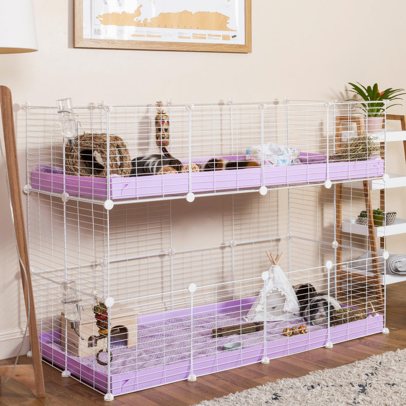 white C&C cage double 4x2 two levels for guinea pigs with purple lilac coroplast by kavee