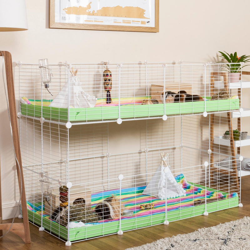 white C&C cage double 4x2 for guinea pigs two levels with green coroplast by kavee