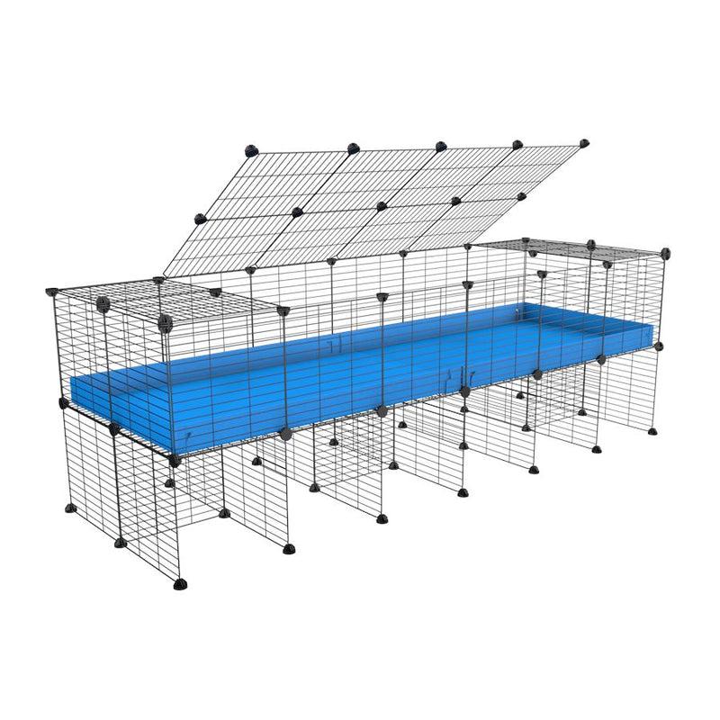 a 6x2 C&C cage for guinea pigs with a stand and a top blue plastic safe grids by kavee
