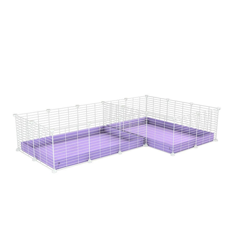 A 6x2 L-shape white C&C cage with divider for guinea pig fighting or quarantine with lilac coroplast from brand kavee