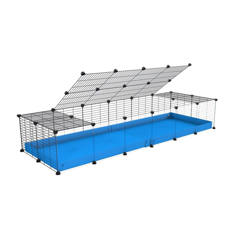 A 2x6 C and C cage with clear transparent plexiglass acrylic grids  for guinea pigs with blue coroplast a lid and small hole grids from brand kavee