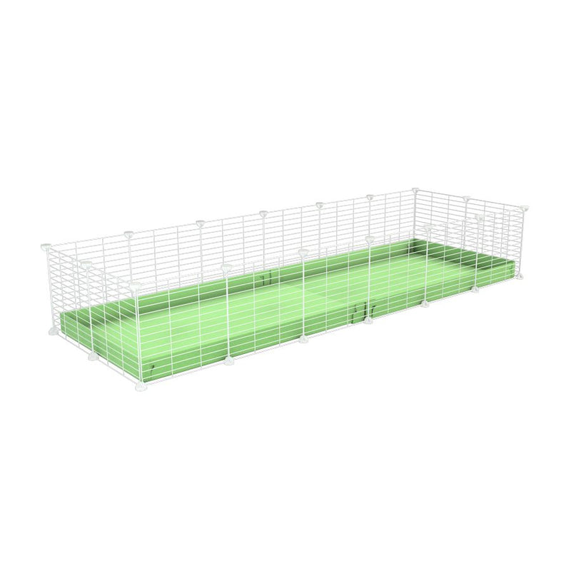 A cheap 6x2 C&C cage for guinea pig with green pastel pistachio coroplast and baby proof white grids from brand kavee