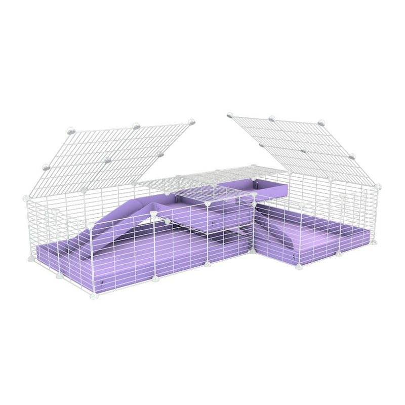 A 6x2 L-shape white C&C cage with lid divider loft ramp for guinea pig fighting or quarantine with lilac coroplast from brand kavee