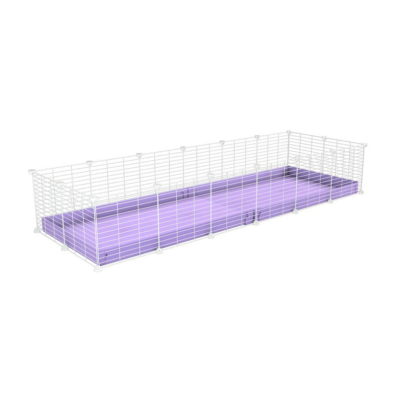 A cheap 6x2 C&C cage for guinea pig with purple lilac pastel coroplast and baby proof white grids from brand kavee
