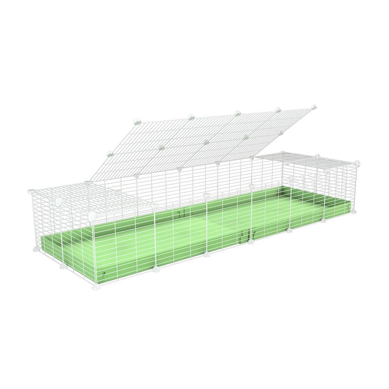 A 2x6 C and C cage for guinea pigs with green pastel pistachio coroplast a lid and small hole white grids from brand kavee