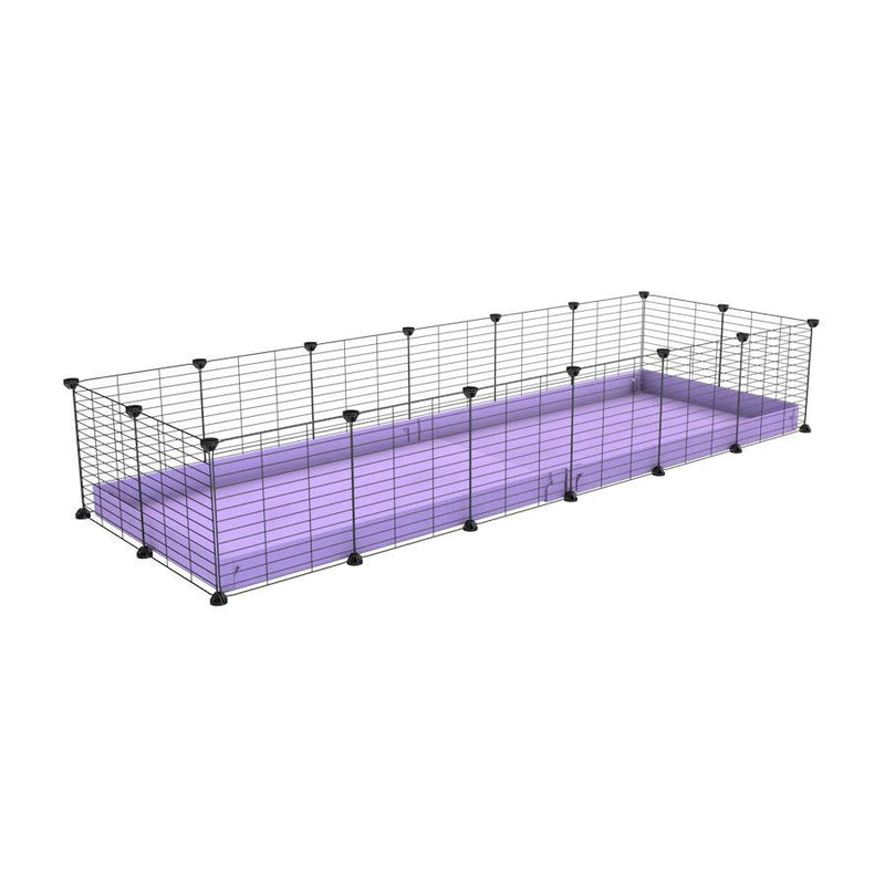 A cheap 6x2 C&C cage for guinea pig with purple lilac pastel coroplast and baby grids from brand kavee