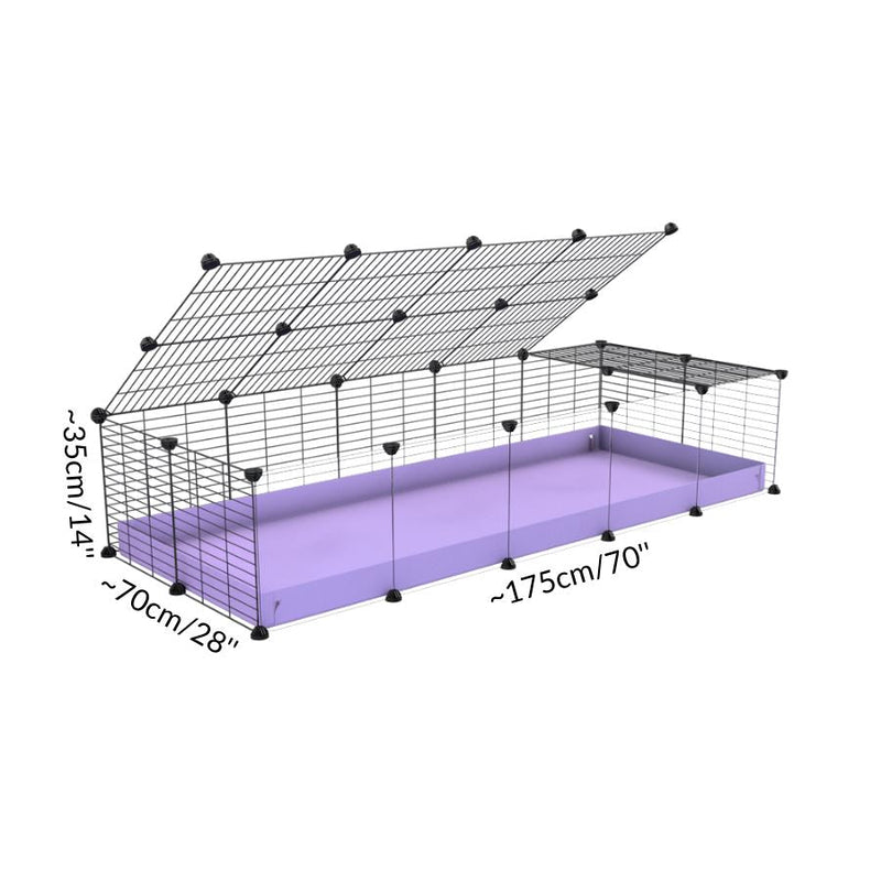 Size of A cheap 5x2 C&C cage with clear transparent perspex acrylic windows  for guinea pig with purple lilac pastel coroplast and baby grids from brand kavee