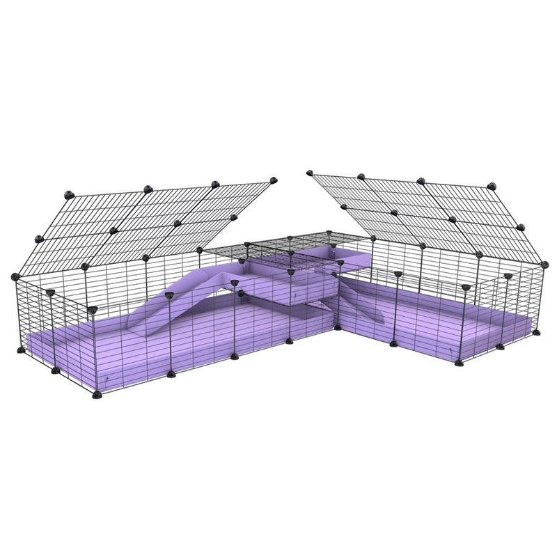 A 8x2 L-shape C&C cage with lid divider loft ramp for guinea pig fighting or quarantine with lilac coroplast from brand kavee