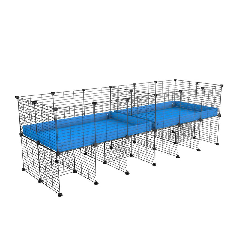 A 6x2 C&C cage with divider and stand for guinea pig fighting or quarantine with blue coroplast from brand kavee