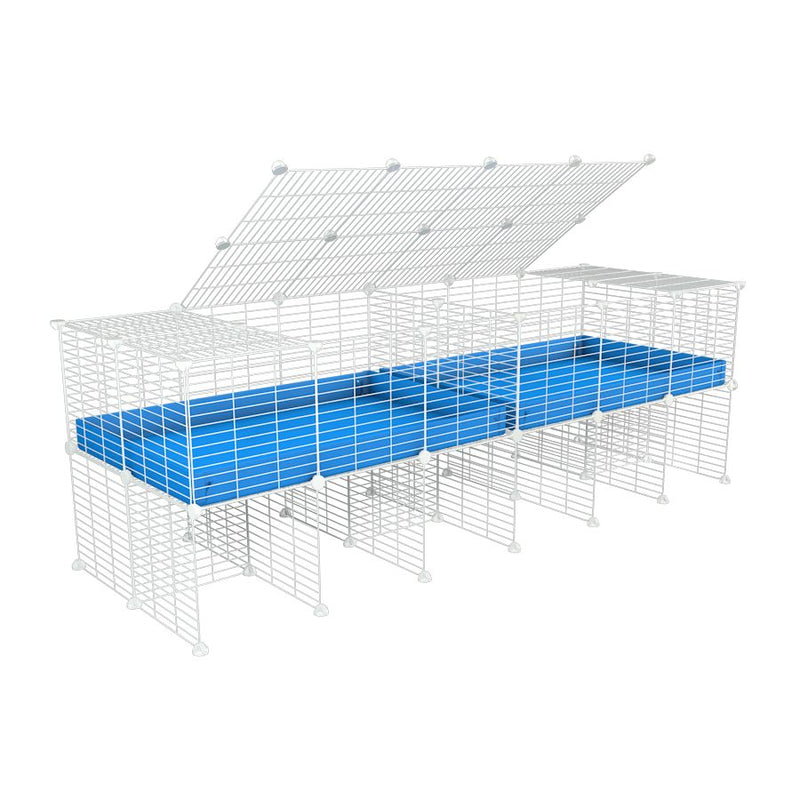 A 6x2 white C&C cage with lid divider stand for guinea pig fighting or quarantine with blue coroplast from brand kavee