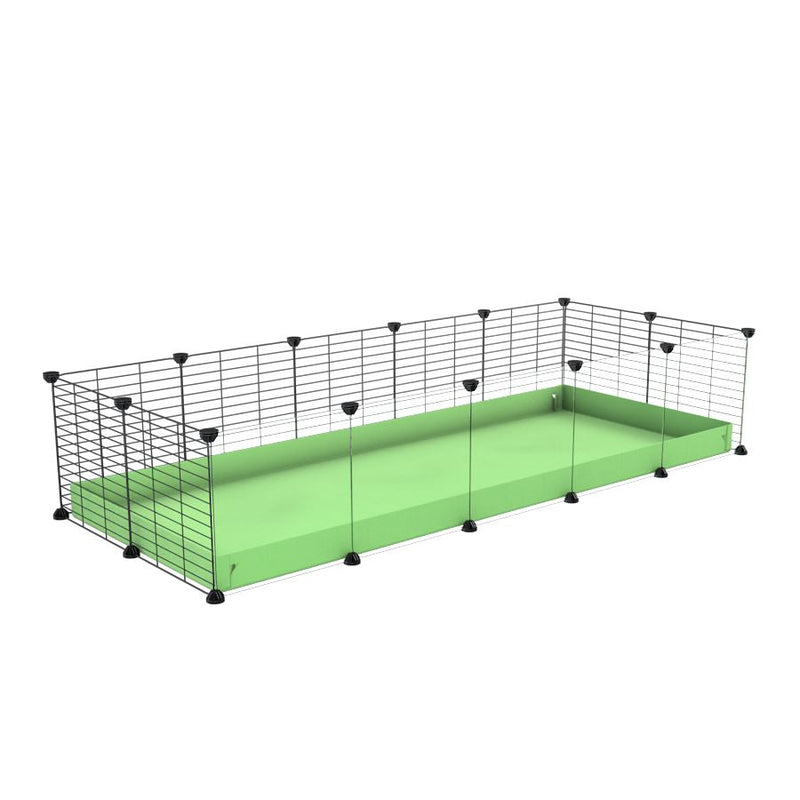 A cheap 5x2 C&C cage with clear transparent perspex acrylic windows  for guinea pig with green pastel pistachio coroplast and baby grids from brand kavee