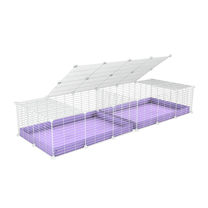 A 6x2 white C&C cage with lid divider for guinea pig fighting or quarantine with lilac coroplast from brand kavee