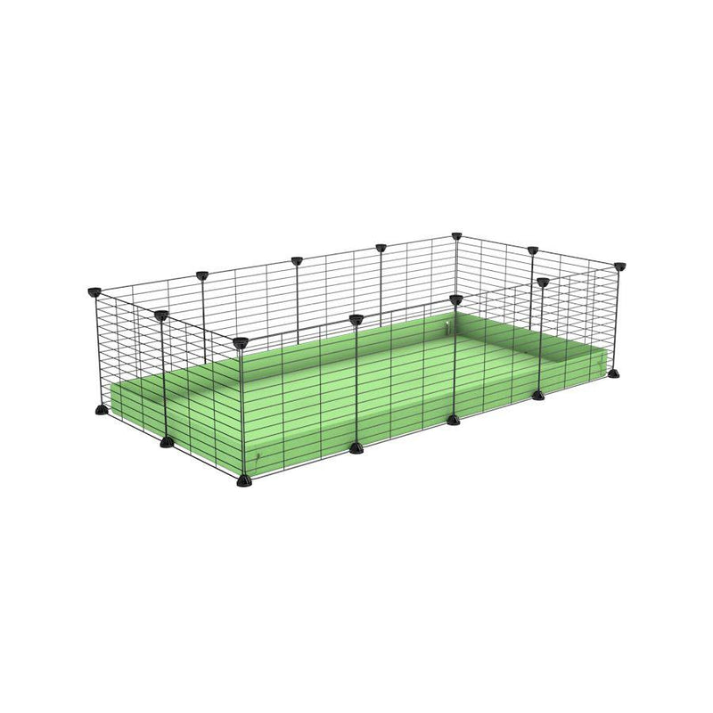 A cheap 4x2 C&C cage for guinea pig with green pastel pistachio coroplast and baby grids from brand kavee