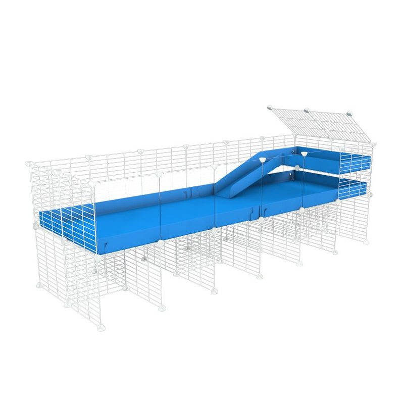 a 6x2 CC guinea pig cage with clear transparent plexiglass acrylic panels  with stand loft ramp small mesh white C&C grids blue corroplast by brand kavee