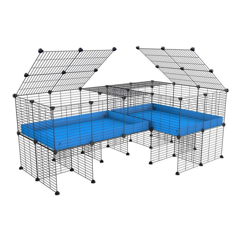 A 6x2 L-shape C&C cage with lid divider stand for guinea pig fighting or quarantine with blue coroplast from brand kavee
