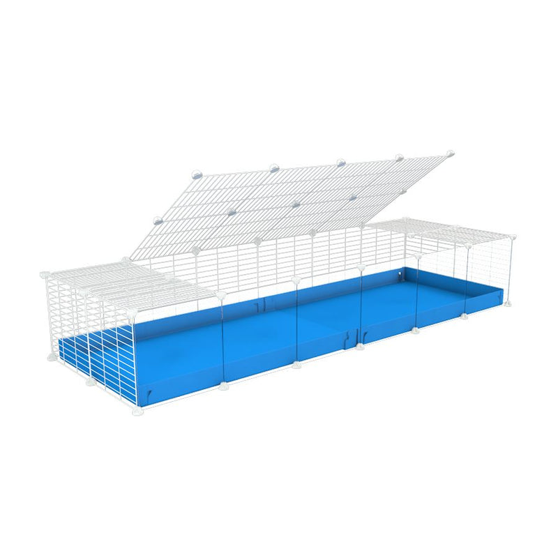 A 2x6 C and C cage with clear transparent plexiglass acrylic grids  for guinea pigs with blue coroplast a lid and small hole white C&C grids from brand kavee