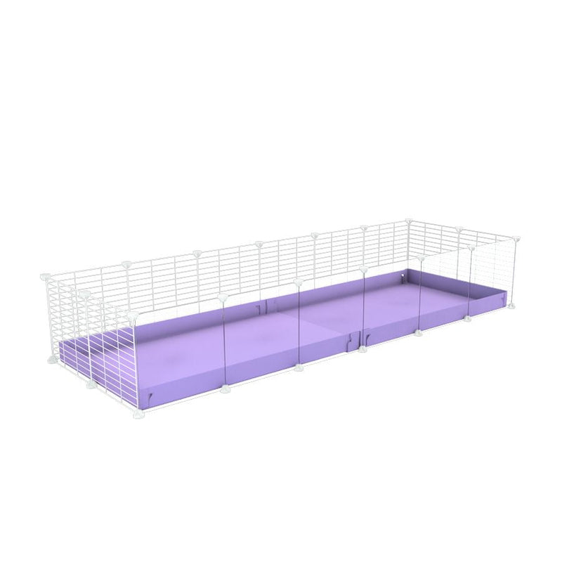 A cheap 6x2 C&C cage with clear transparent perspex acrylic windows  for guinea pig with purple lilac pastel coroplast and baby proof white grids from brand kavee