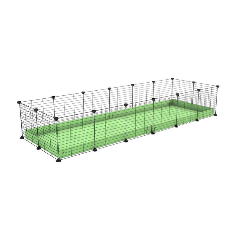A cheap 6x2 C&C cage for guinea pig with green pastel pistachio coroplast and baby grids from brand kavee