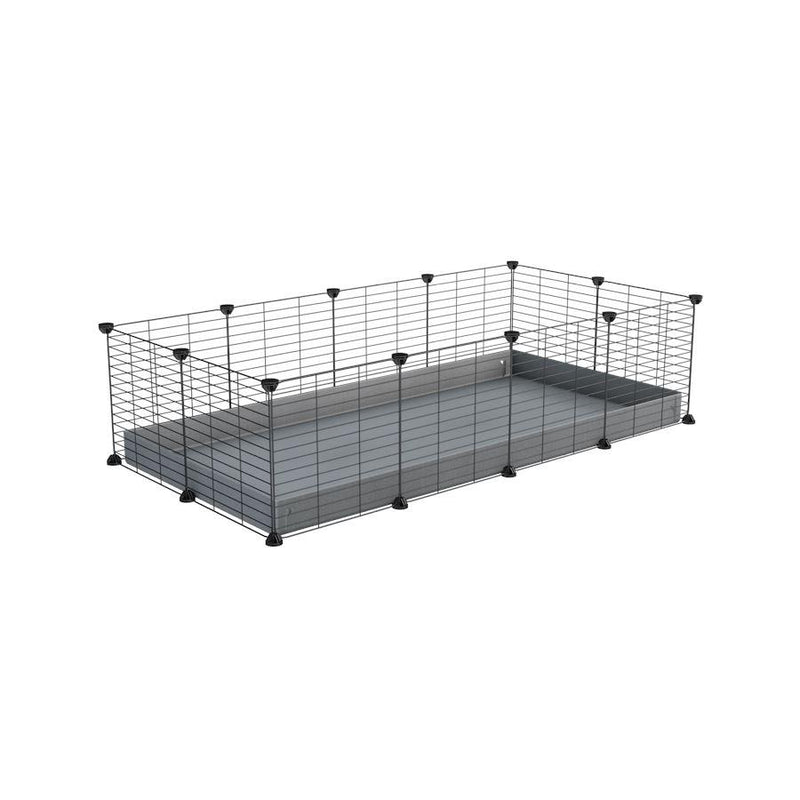 A cheap 4x2 C&C cage for guinea pig with grey coroplast and baby grids from brand kavee