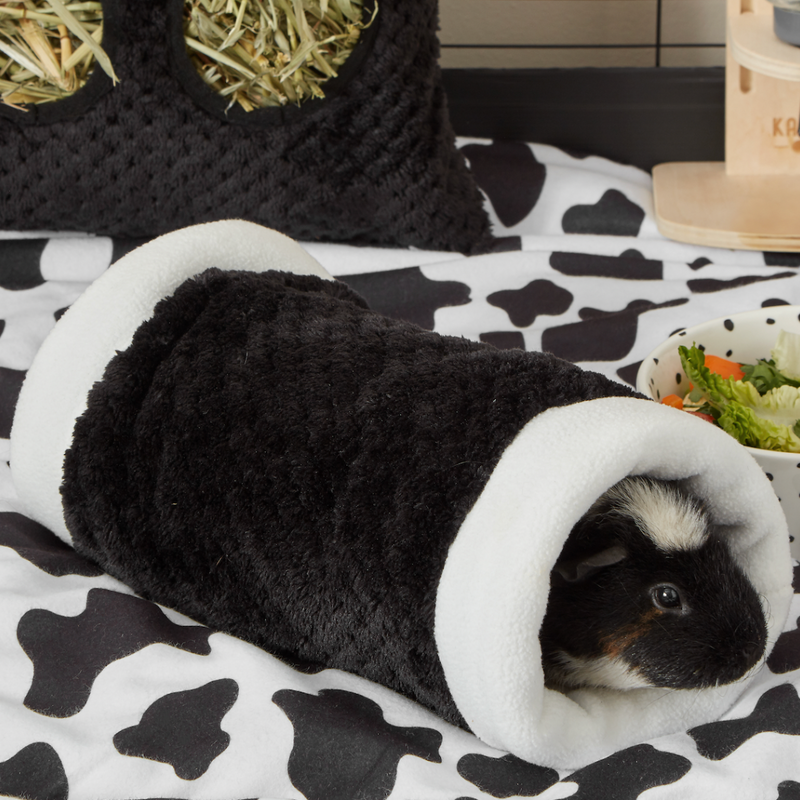 a kavee c an c black fleece tunnel with a tri coloured guinea pig inside on top of a cow print fleece liner