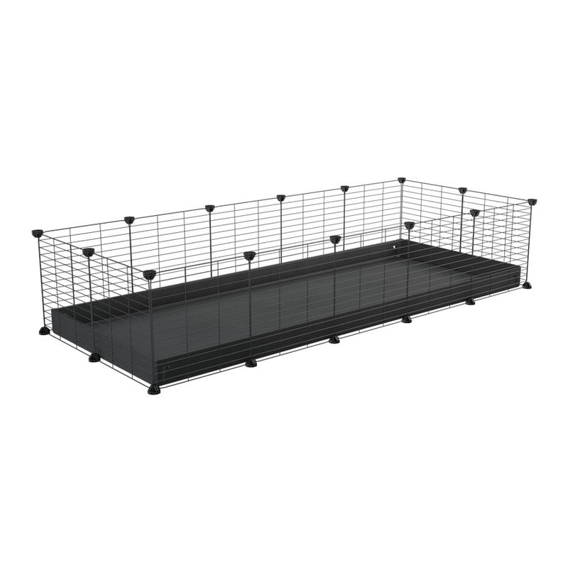 A cheap 5x2 C&C cage for guinea pig with black coroplast and baby grids from brand kavee