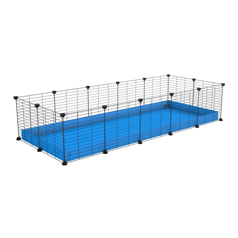 A cheap 5x2 C&C cage for guinea pig with blue coroplast and baby grids from brand kavee