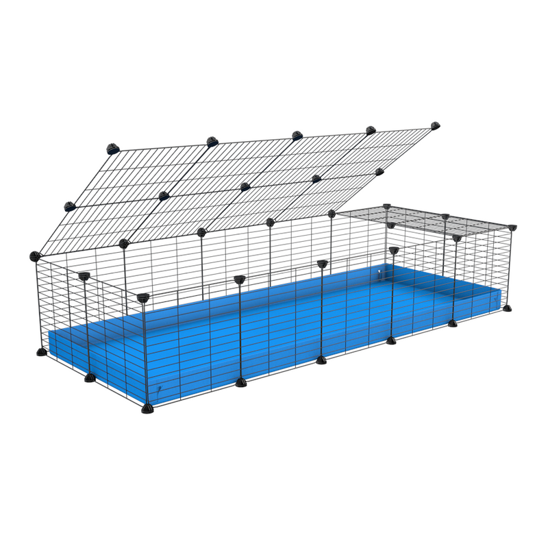 A 2x5 C and C cage for guinea pigs with blue coroplast a lid and small hole grids from brand kavee