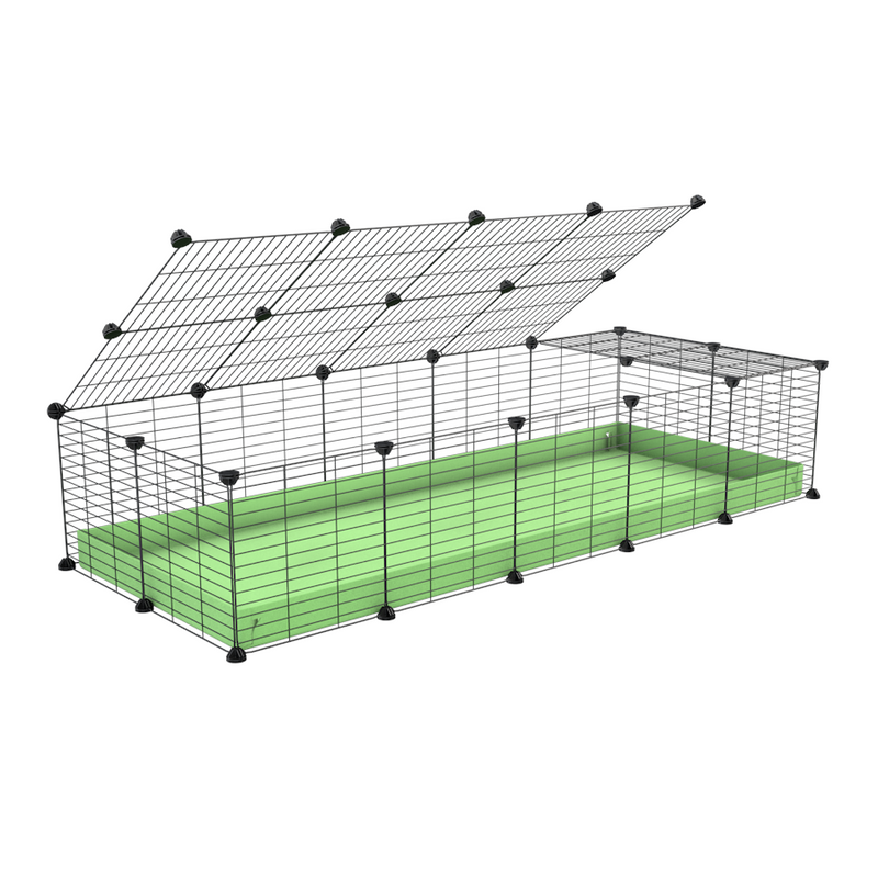 A 2x5 C and C cage for guinea pigs with green pastel pistachio coroplast a lid and small hole grids from brand kavee
