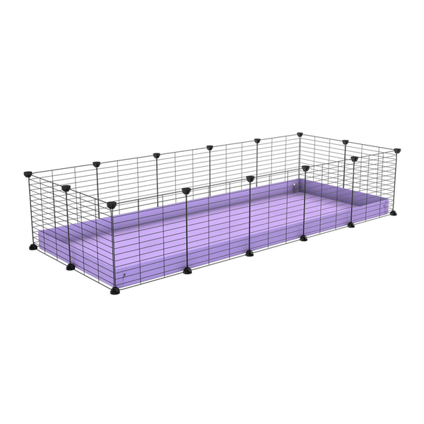 A cheap 5x2 C&C cage for guinea pig with purple lilac pastel coroplast and baby grids from brand kavee