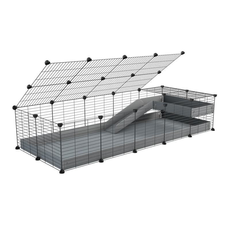 a 2x5 C and C guinea pig cage with loft ramp lid small hole size grids grey coroplast kavee
