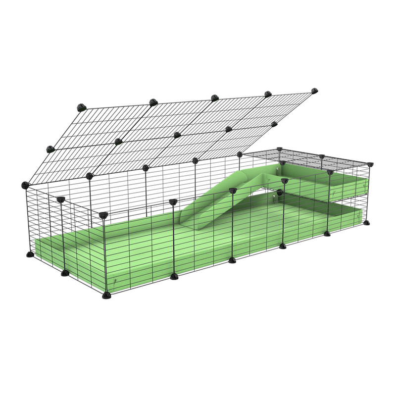 a 2x5 C and C guinea pig cage with loft ramp lid small hole size grids green pastel pistachio coroplast kavee