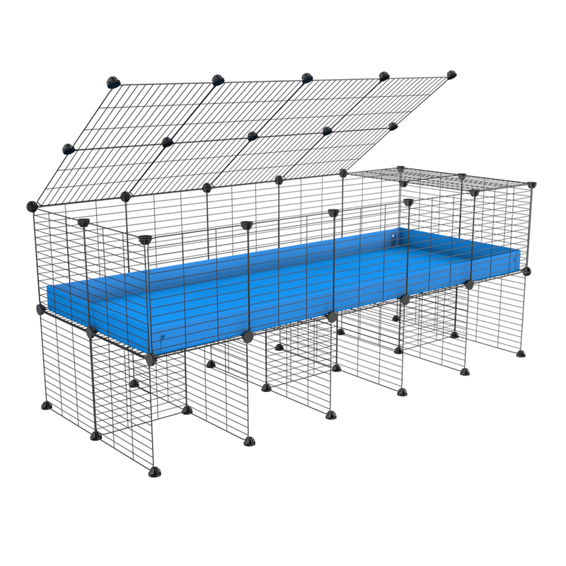 a 5x2 C&C cage for guinea pigs with a stand and a top blue plastic baby safe grids by kavee