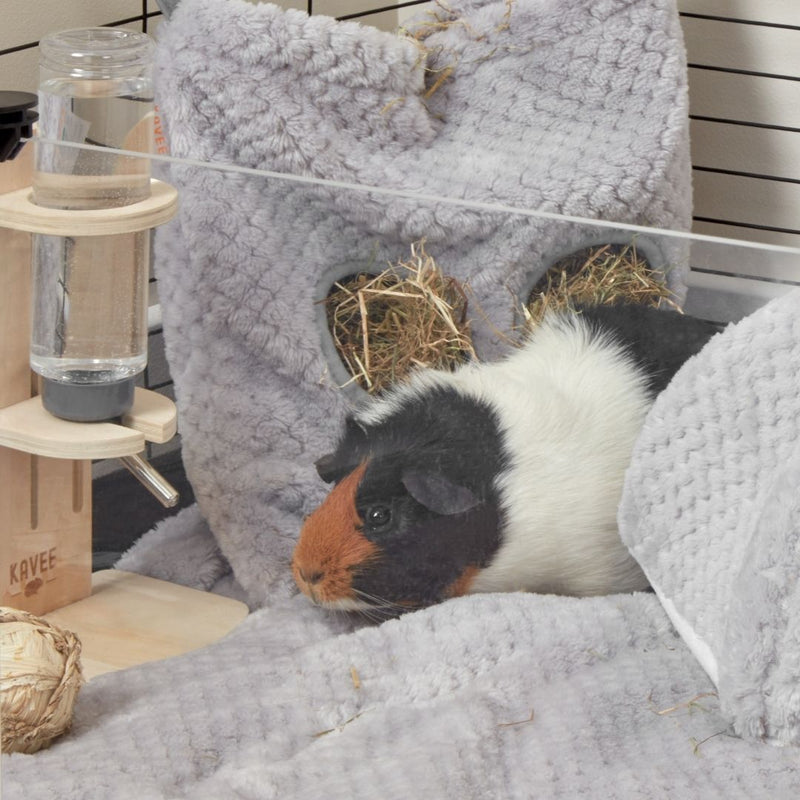 tri coloured guinea pig in front of kavee c and c haybag on side of kavee cage