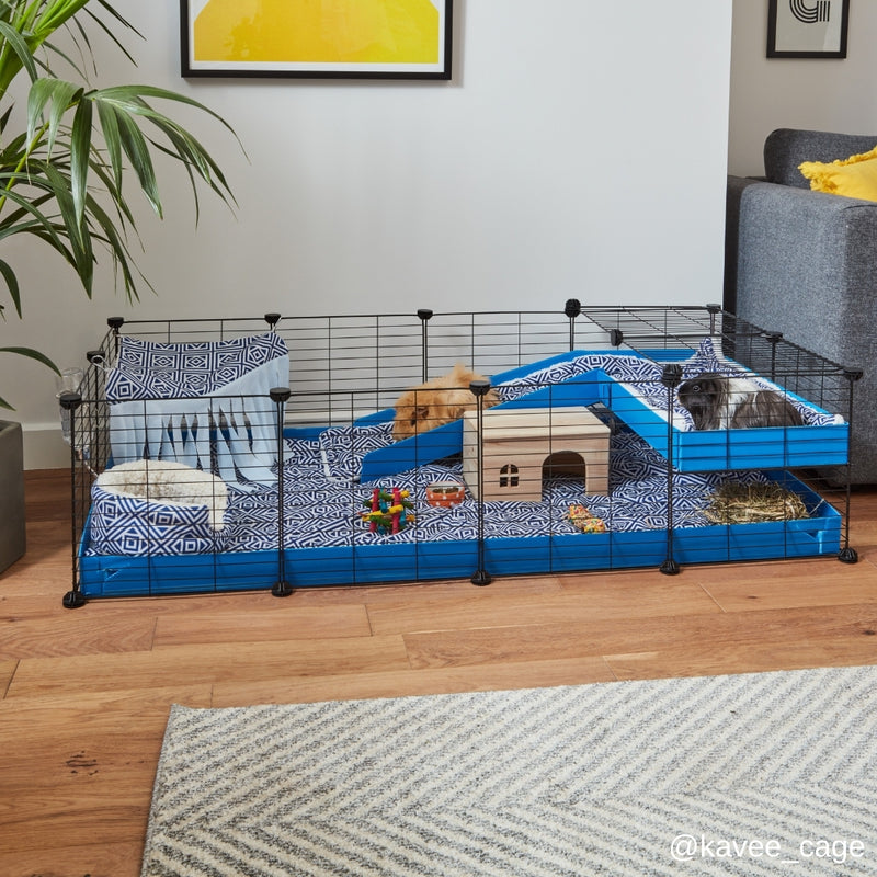 guinea pig using a ramp C&C cage 4x2 blue loft fun best most beautiful guinea pig cage